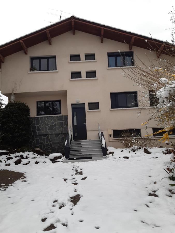 Les Pics Verts Apartment Annecy Luaran gambar