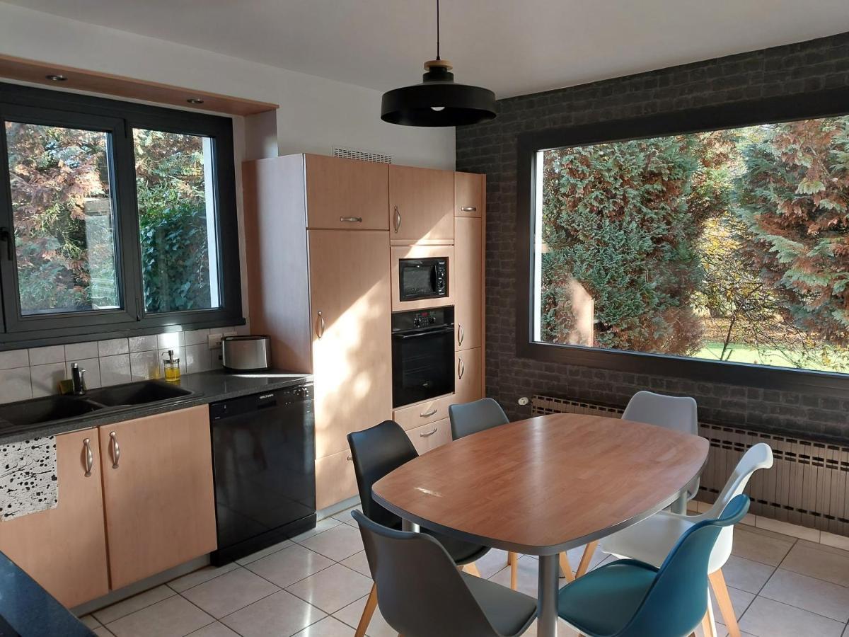 Les Pics Verts Apartment Annecy Luaran gambar